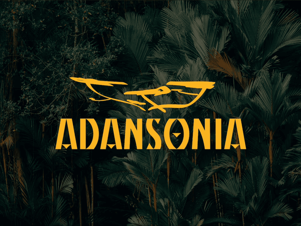 Adansonia — Adansonia
