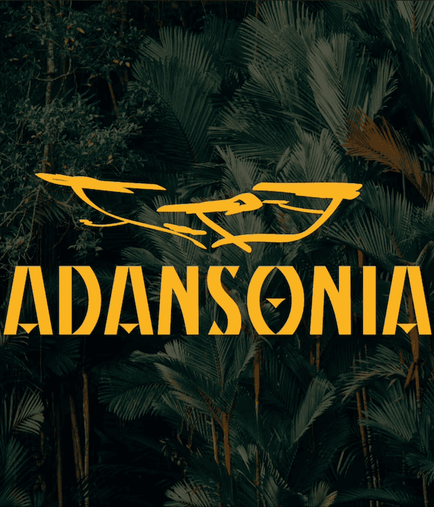 Adansonia — Adansonia
