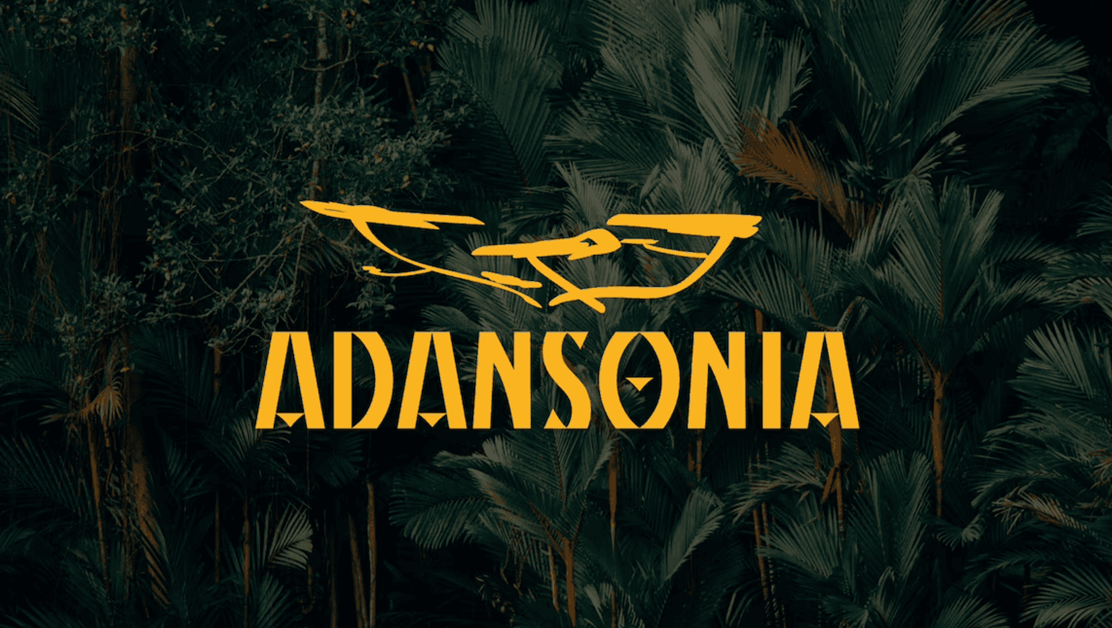 Adansonia
