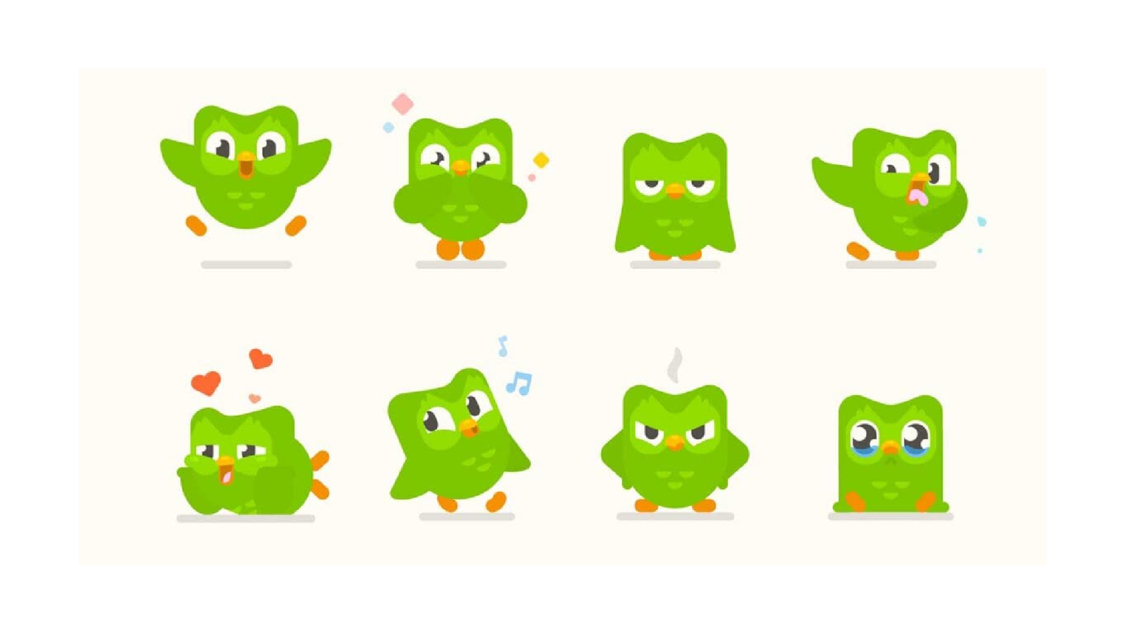 duo the owl reactions