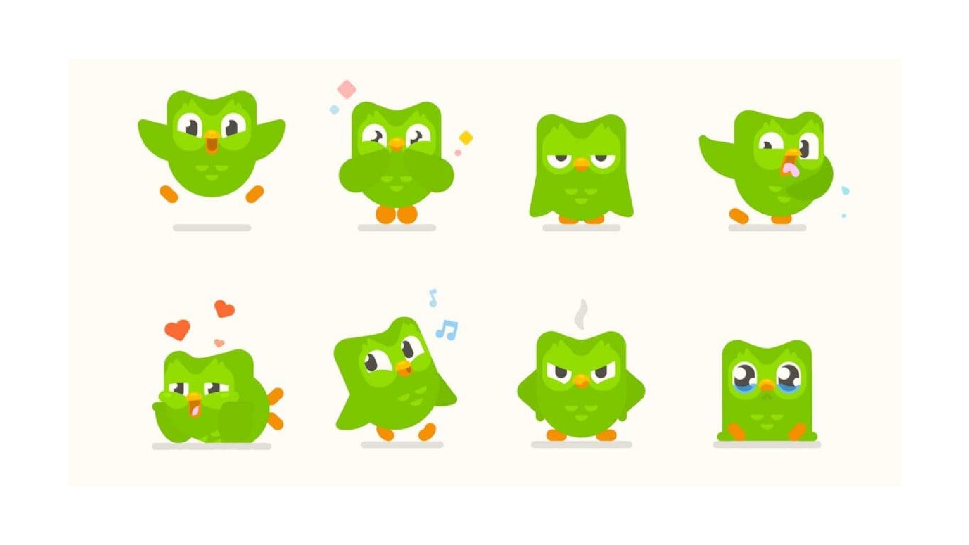 duo the owl reactions