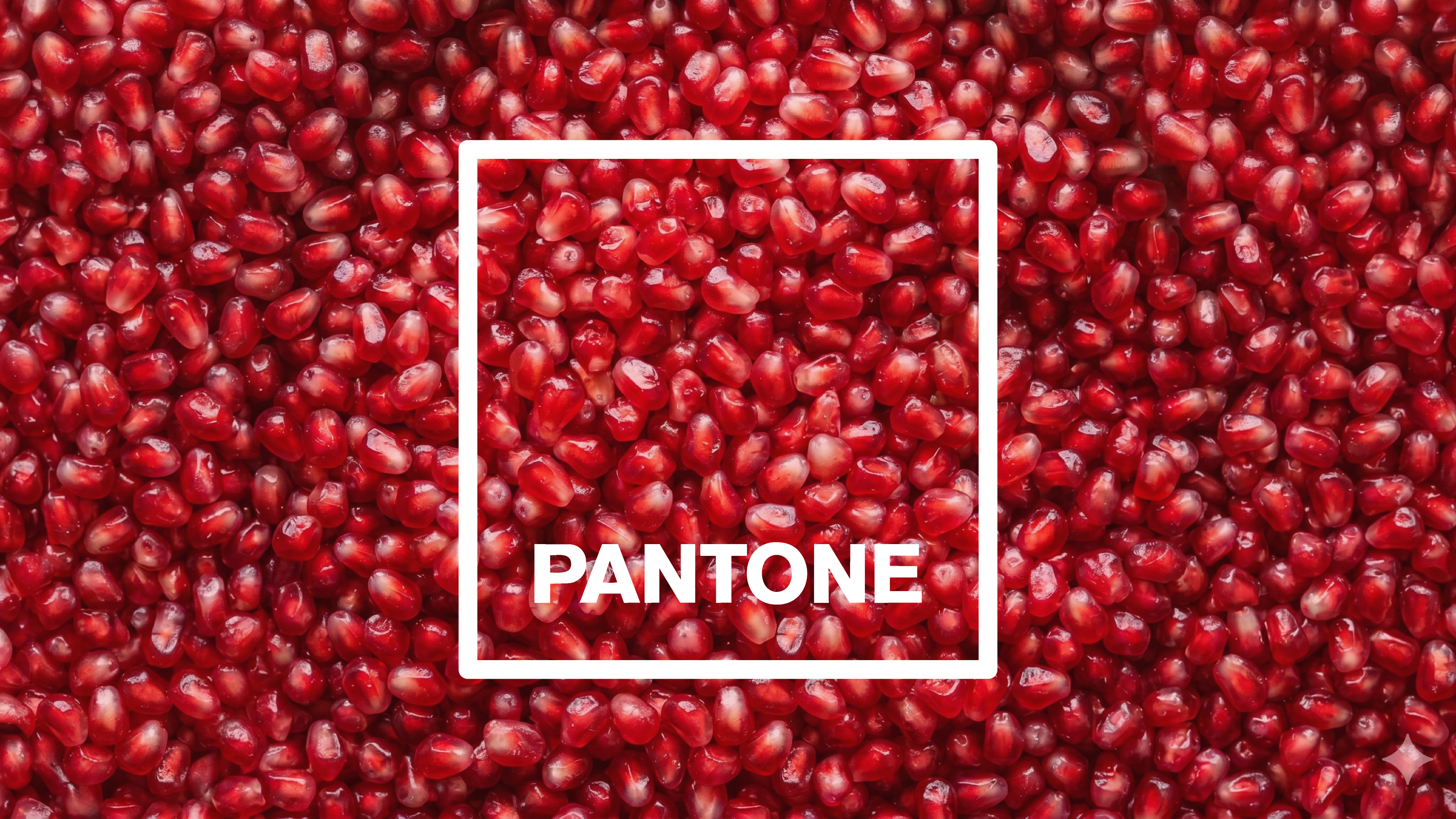 What Are Pantone Colors? A Simple Guide for Designers