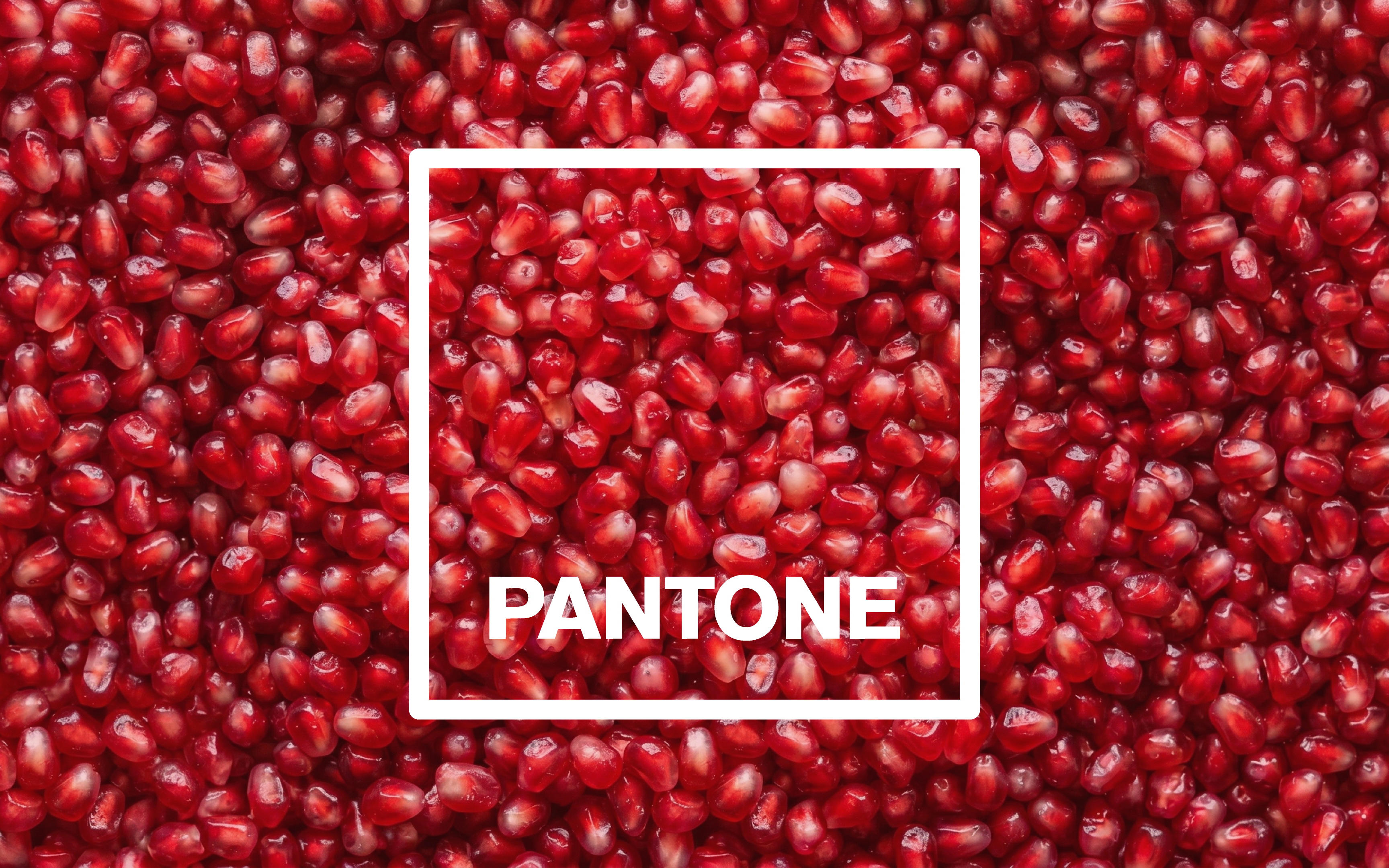 What Are Pantone Colors? A Simple Guide for Designers