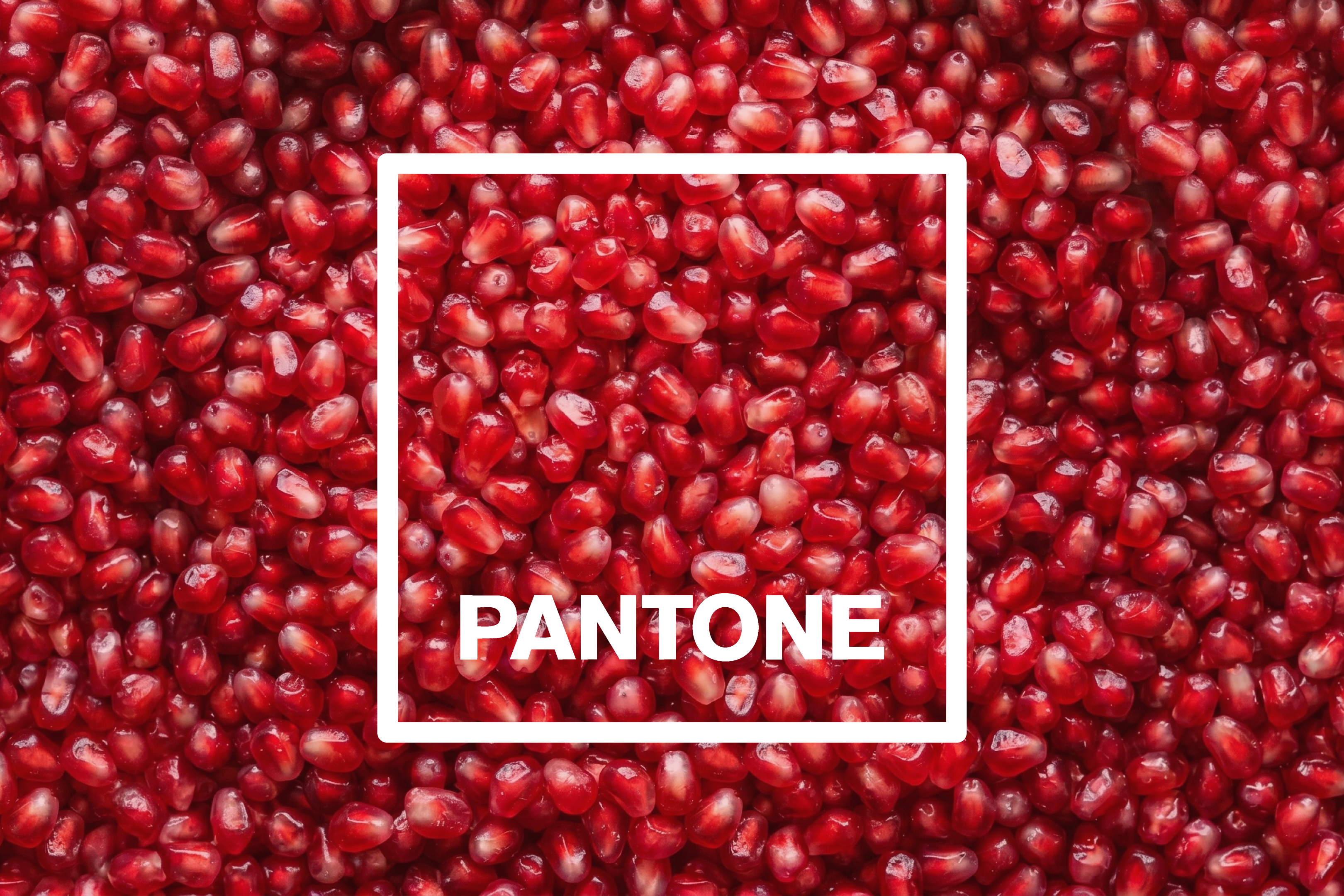What Are Pantone Colors? A Simple Guide for Designers