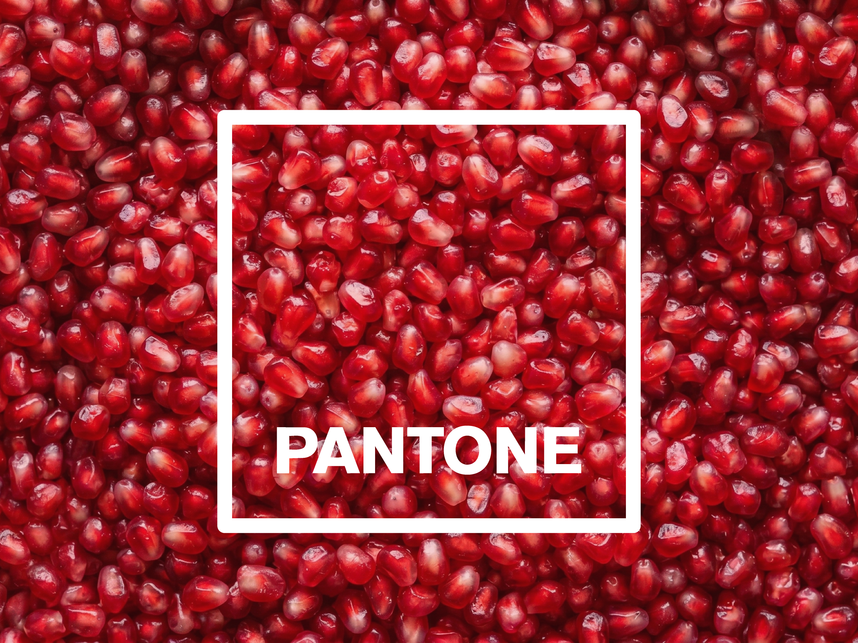 What Are Pantone Colors? A Simple Guide for Designers