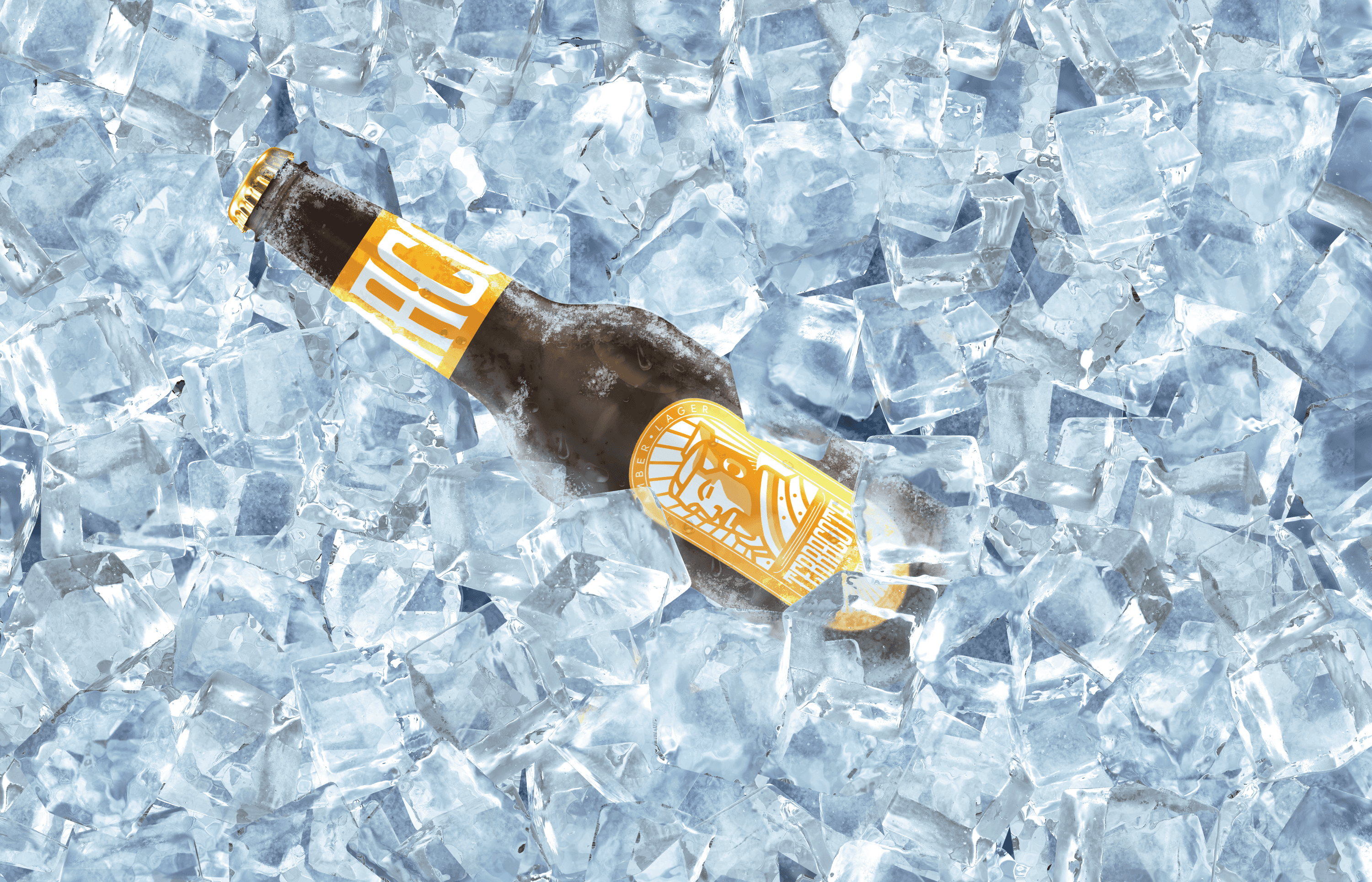 Terracota Brewing — Terracota Beer