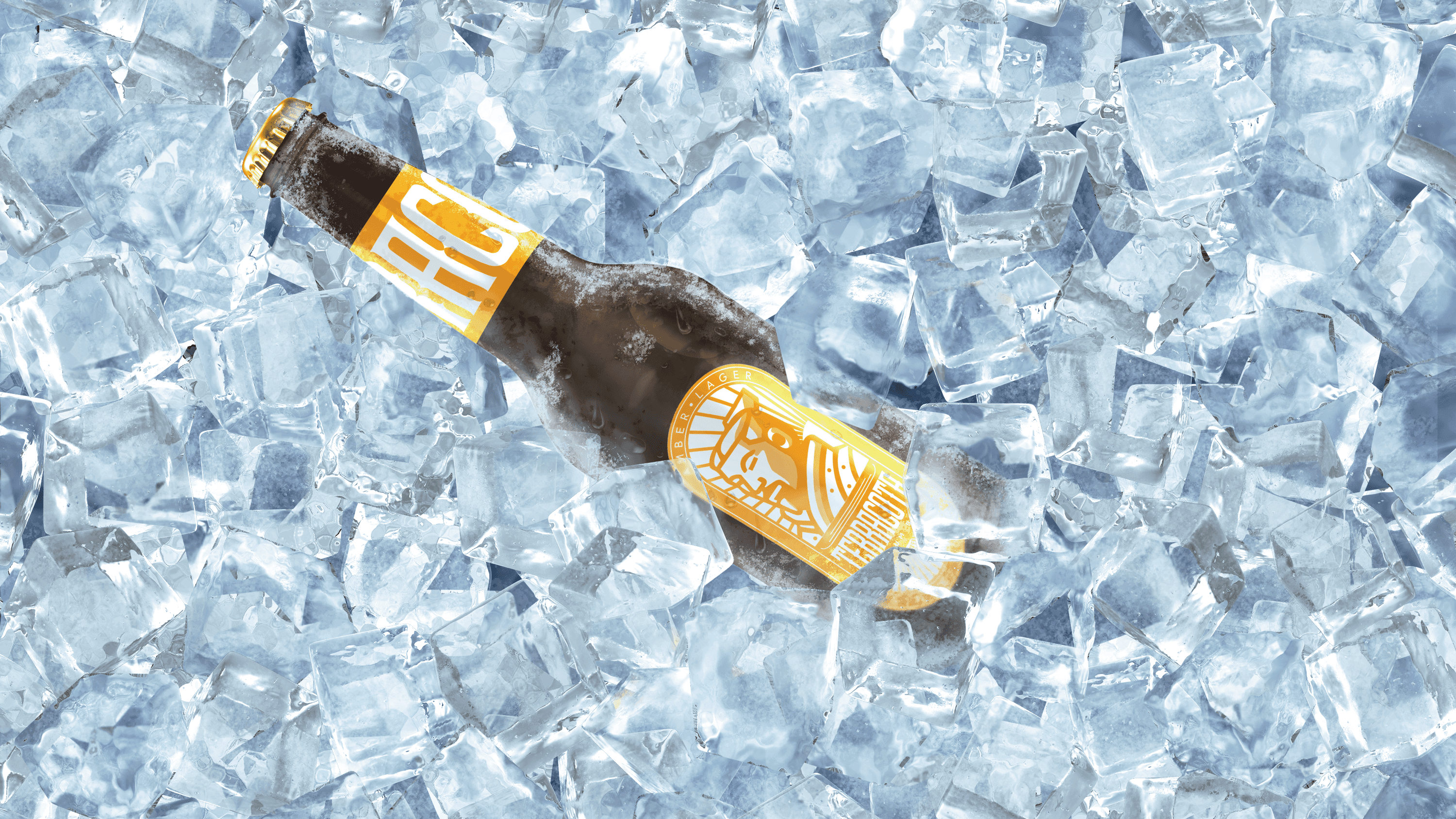 Terracota Brewing — Terracota Beer