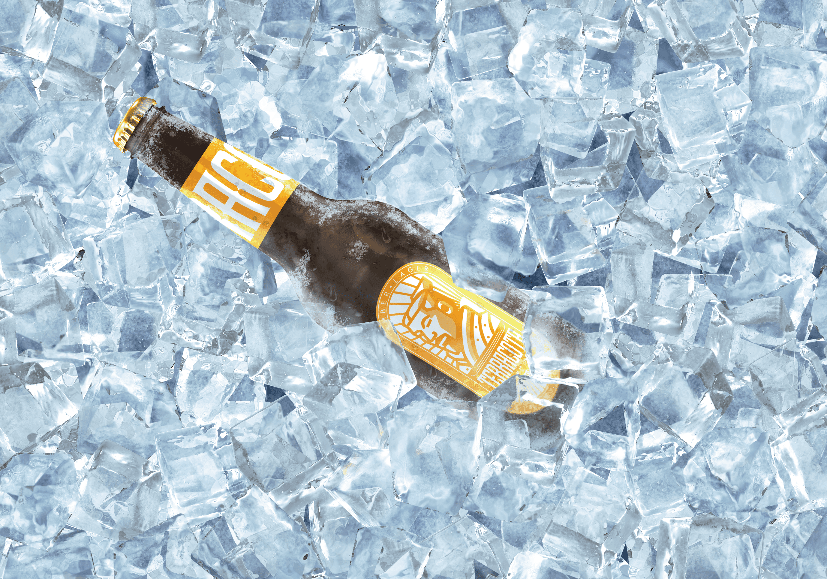 Terracota Brewing — Terracota Beer