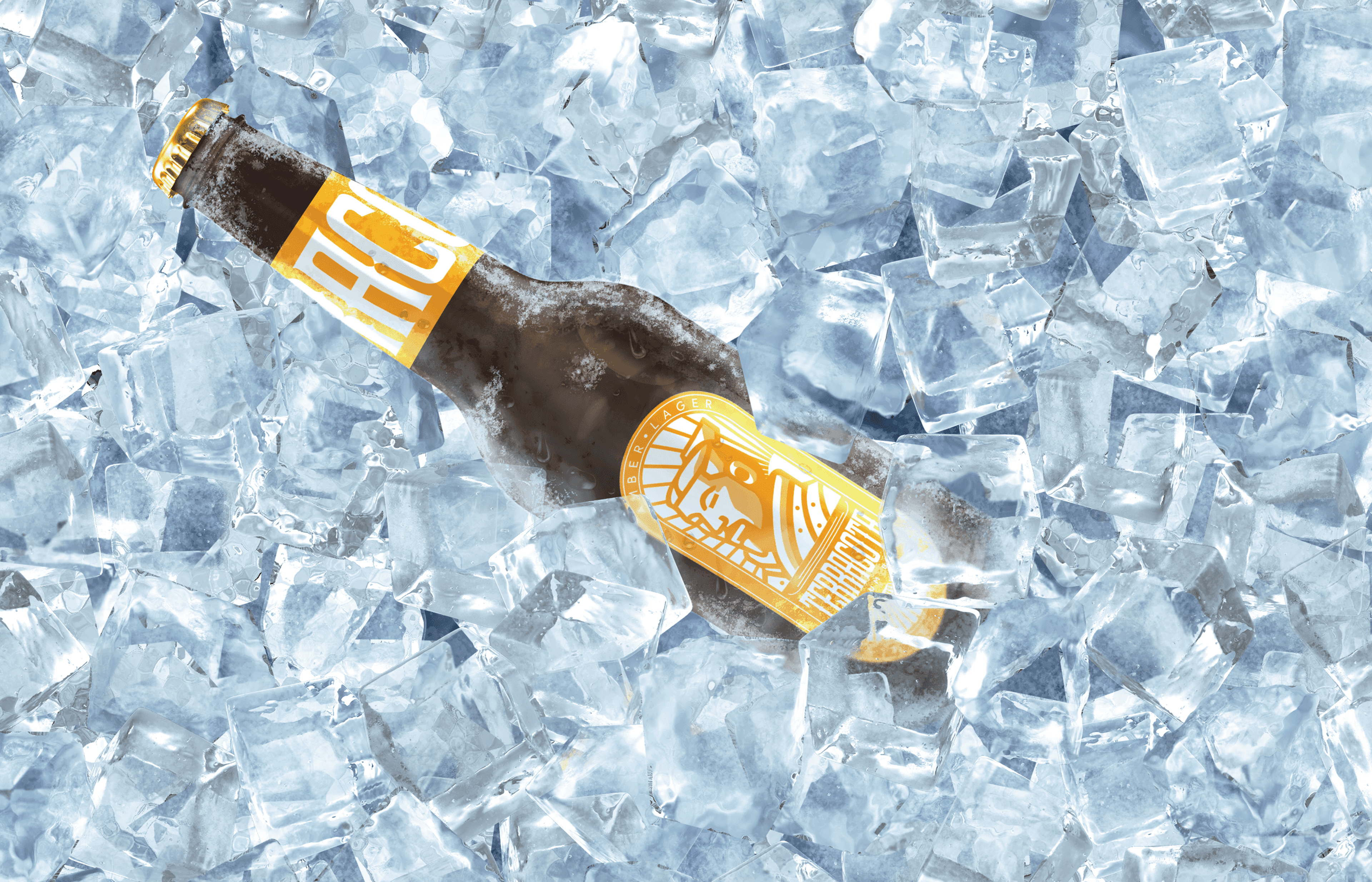 Terracota Brewing — Terracota Beer
