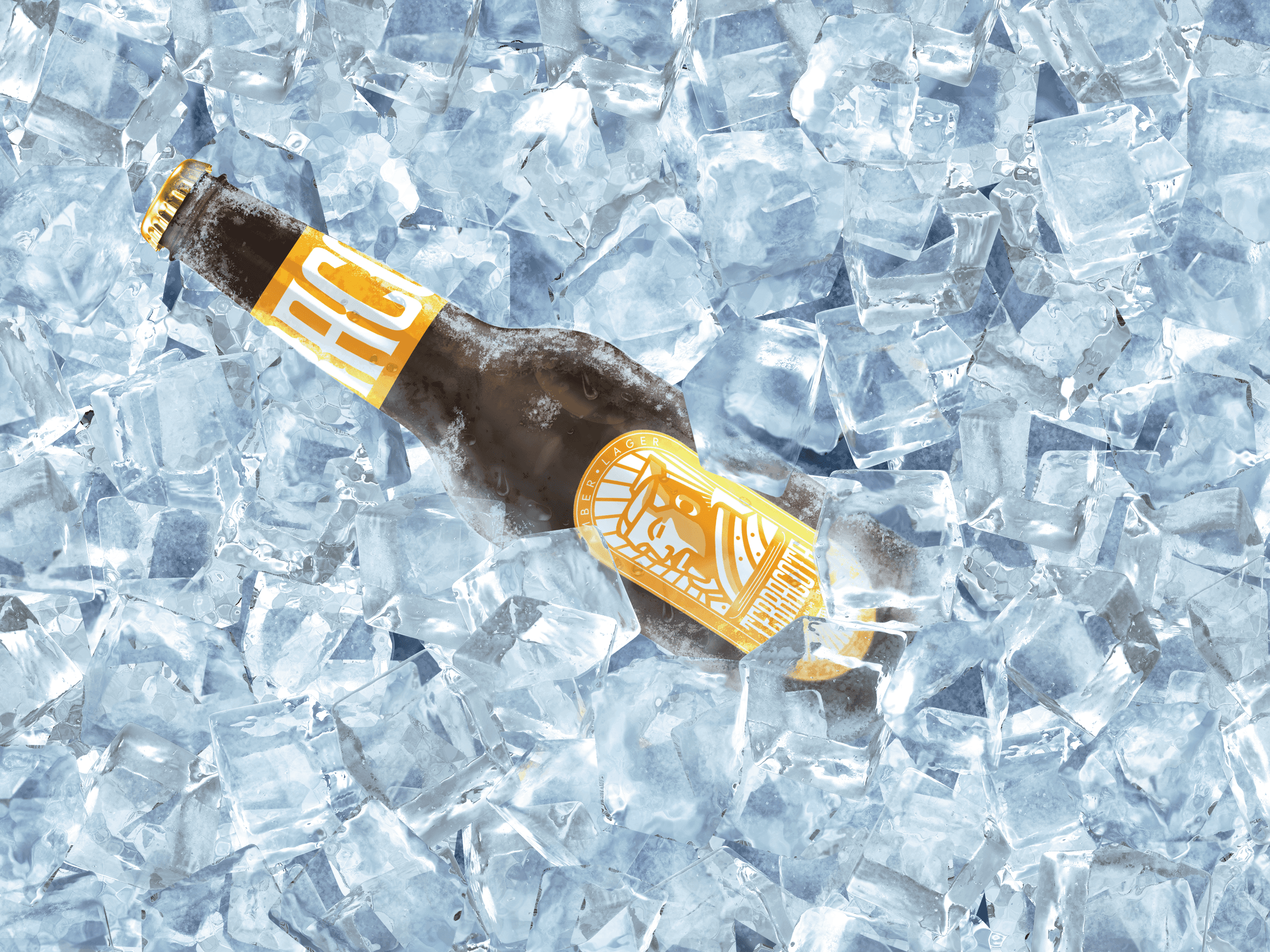 Terracota Brewing — Terracota Beer