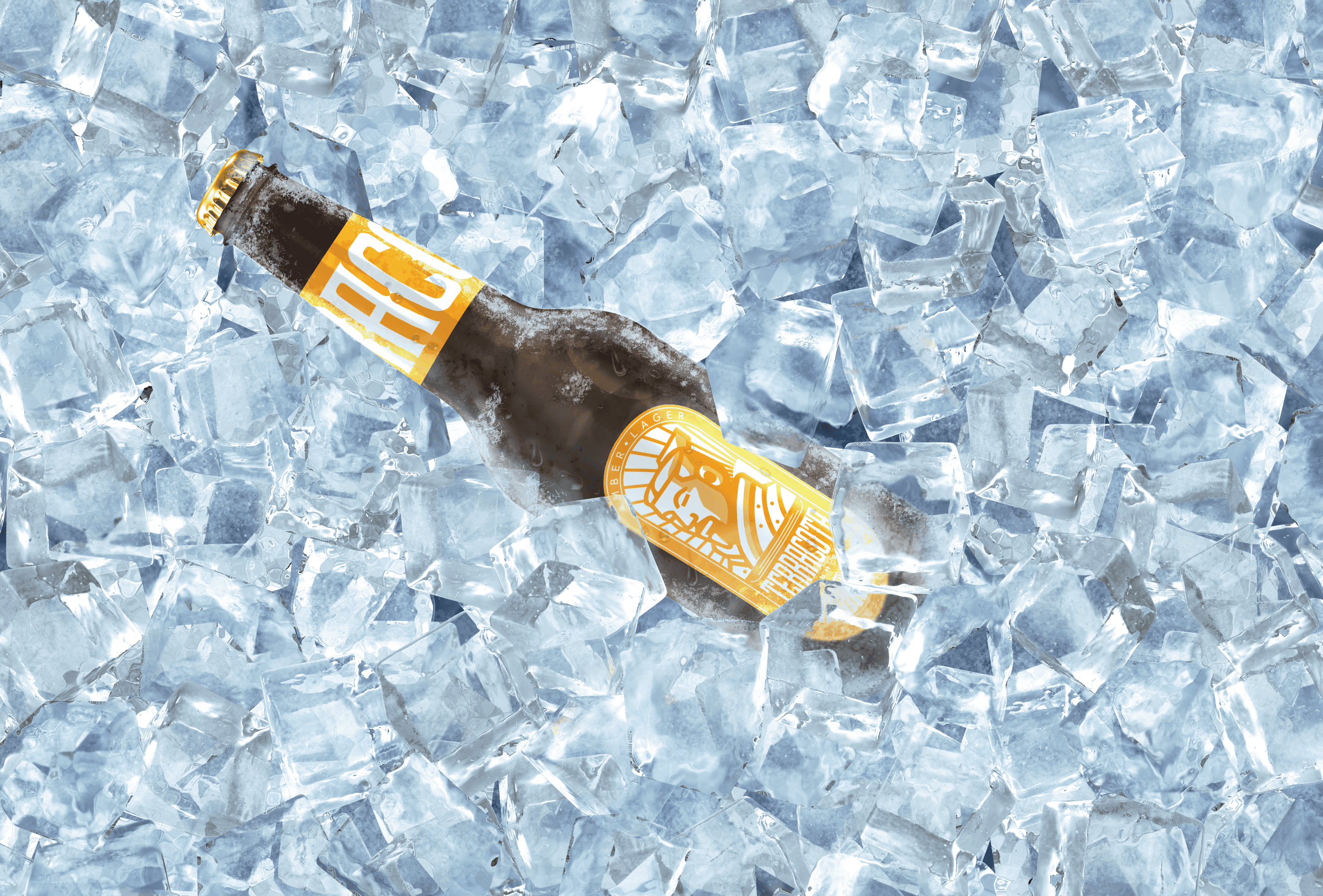 Terracota Brewing — Terracota Beer
