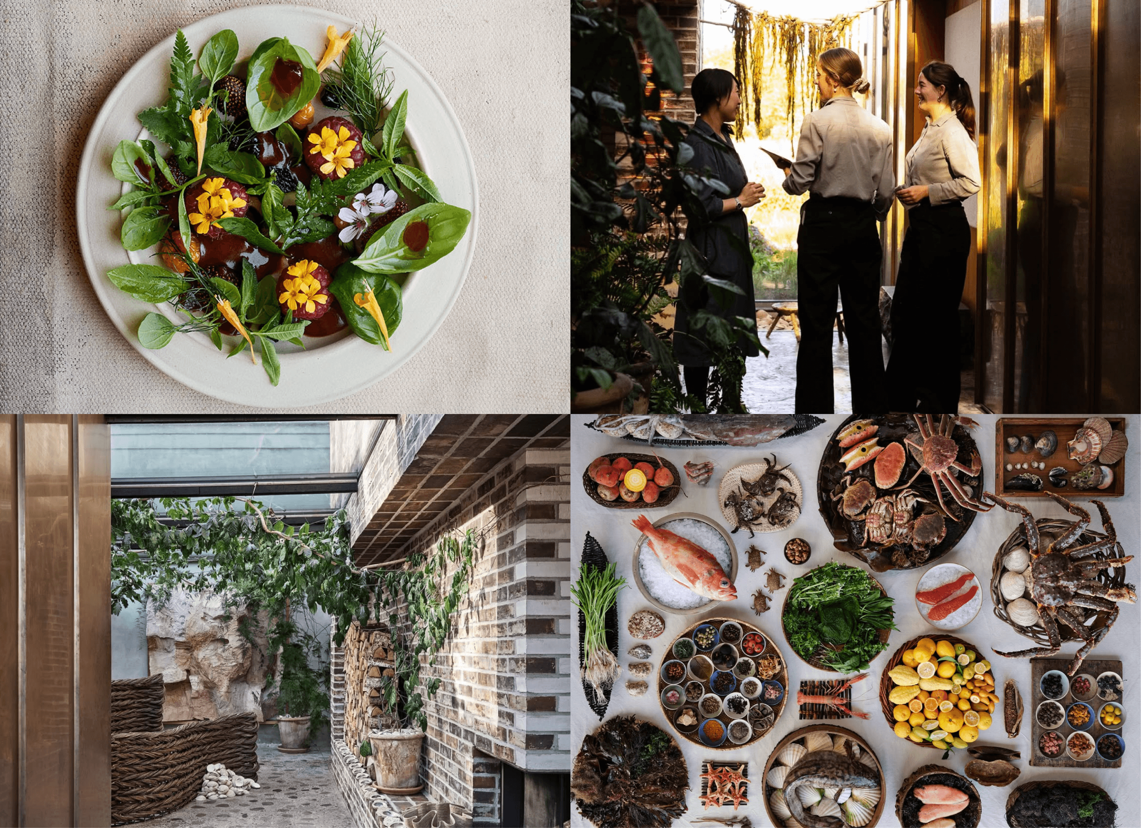 Collage of Noma dishes, staff, courtyard and seasonal Nordic ingredients on display