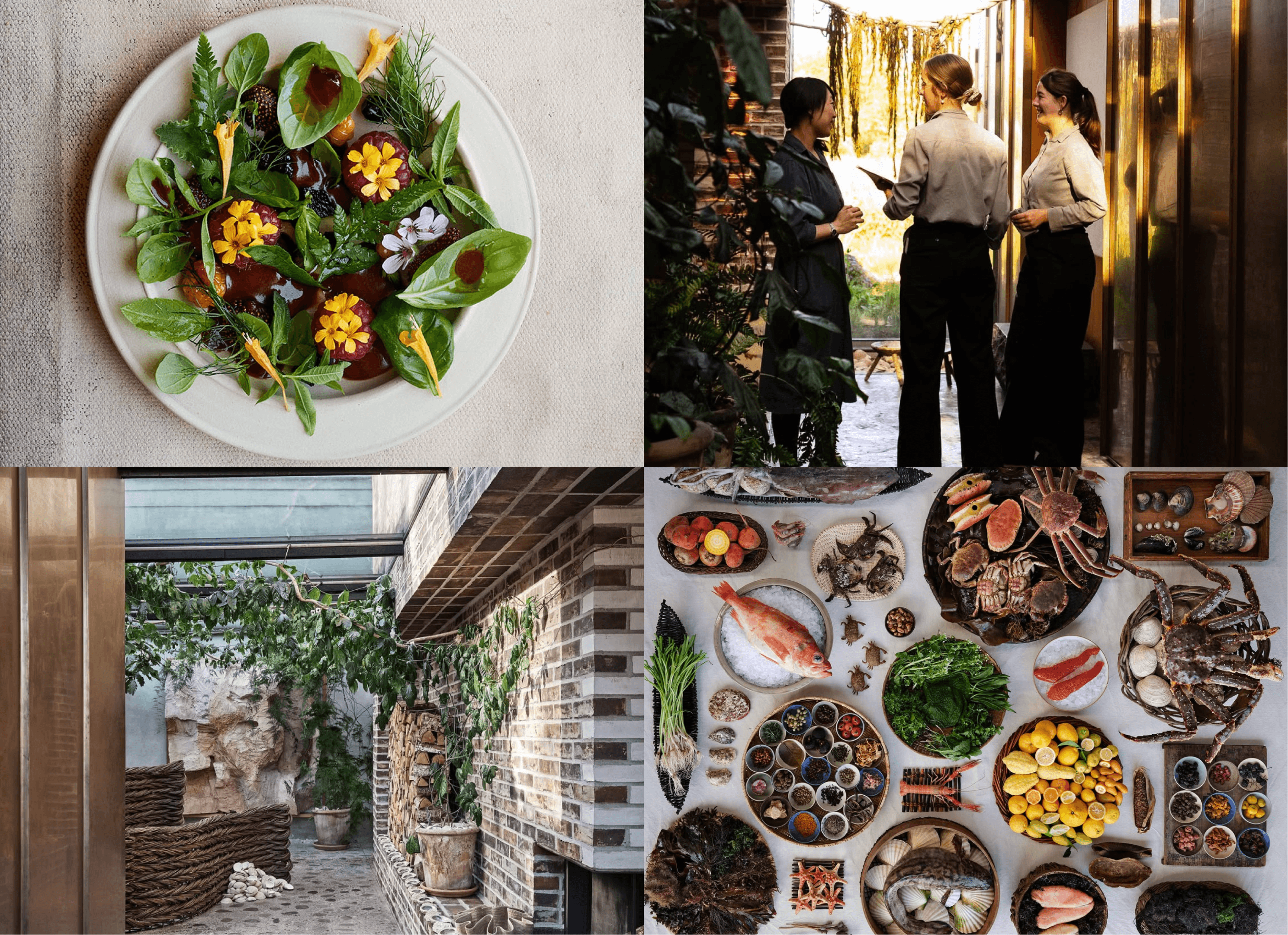Collage of Noma dishes, staff, courtyard and seasonal Nordic ingredients on display