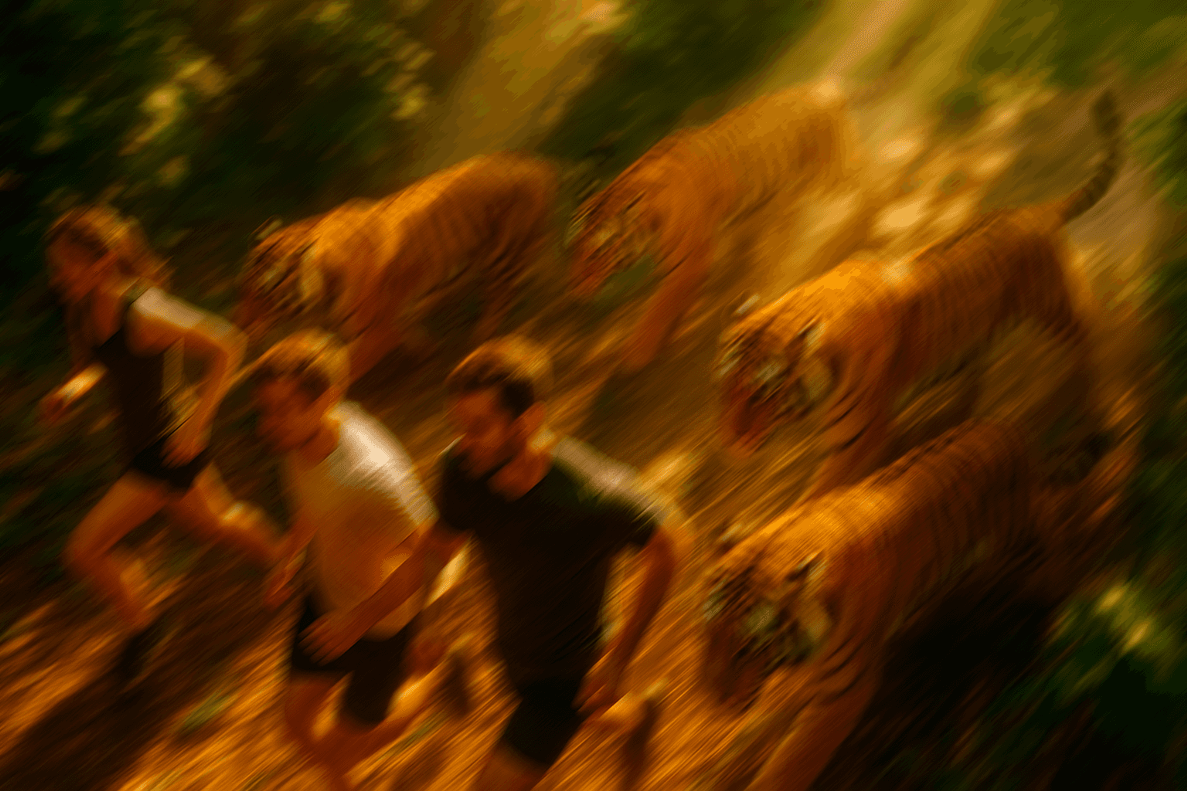 Tiger Pace 2