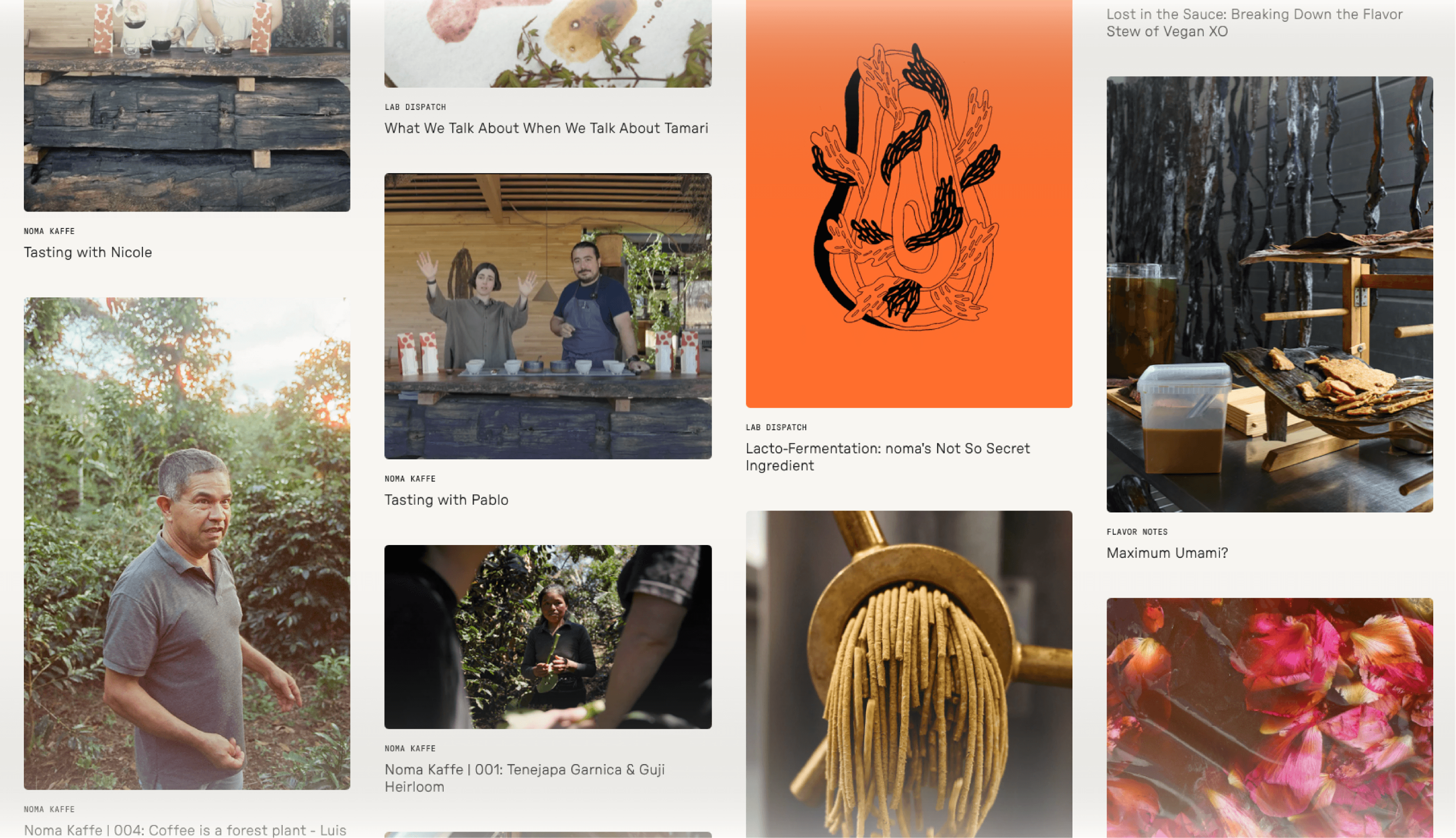 Noma online journal grid with coffee tastings, fermentation articles and flavor notes