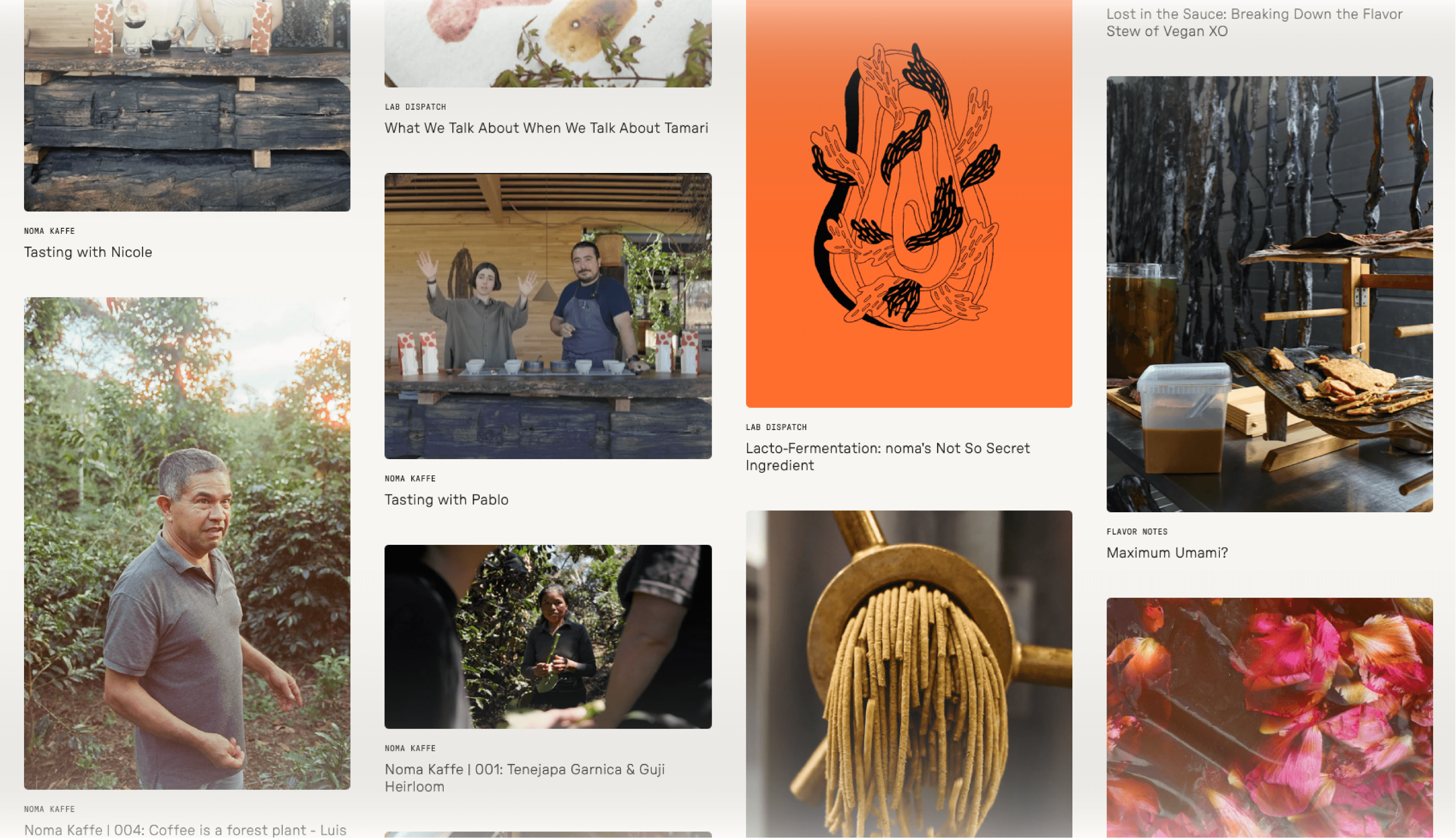 Noma online journal grid with coffee tastings, fermentation articles and flavor notes