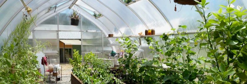 Greenhouses You Should Have Bought
