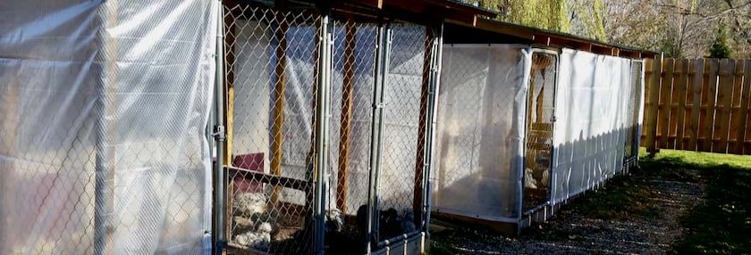 Tips for Winterizing Your Chicken Run