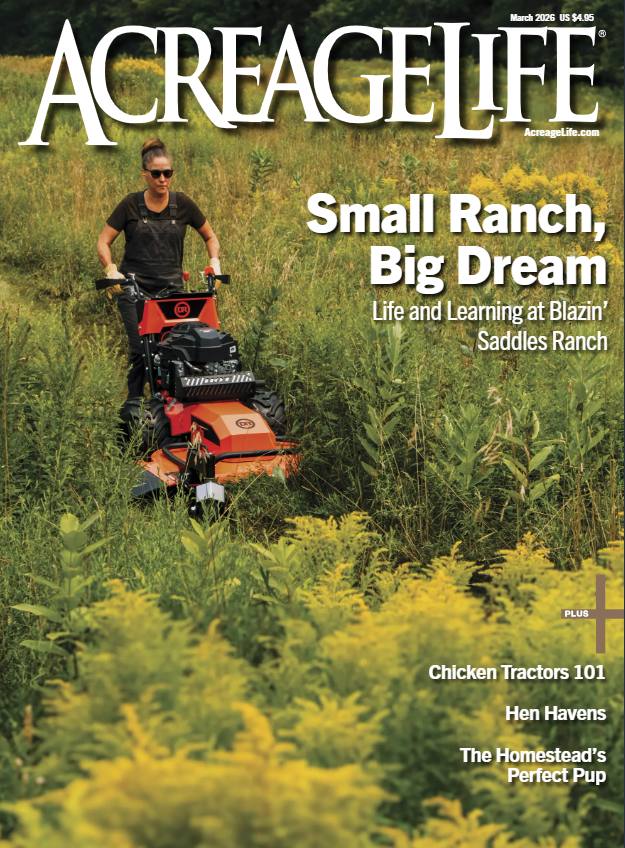 March 2026 - Power & Productivity