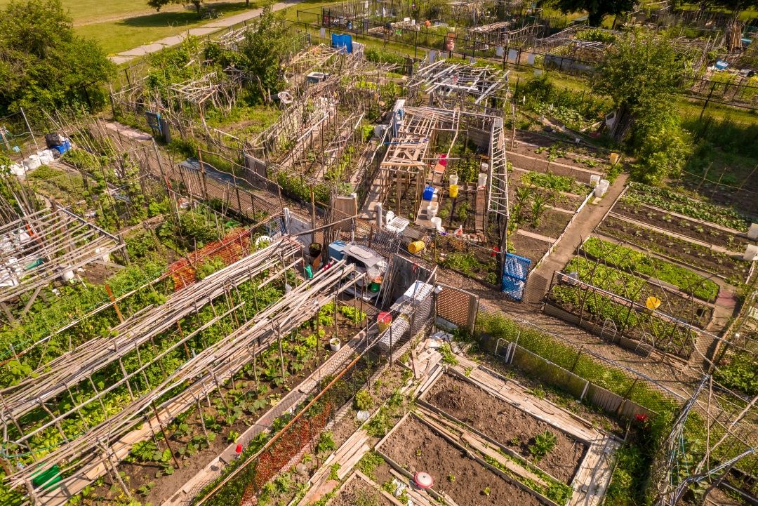 Growing Communities