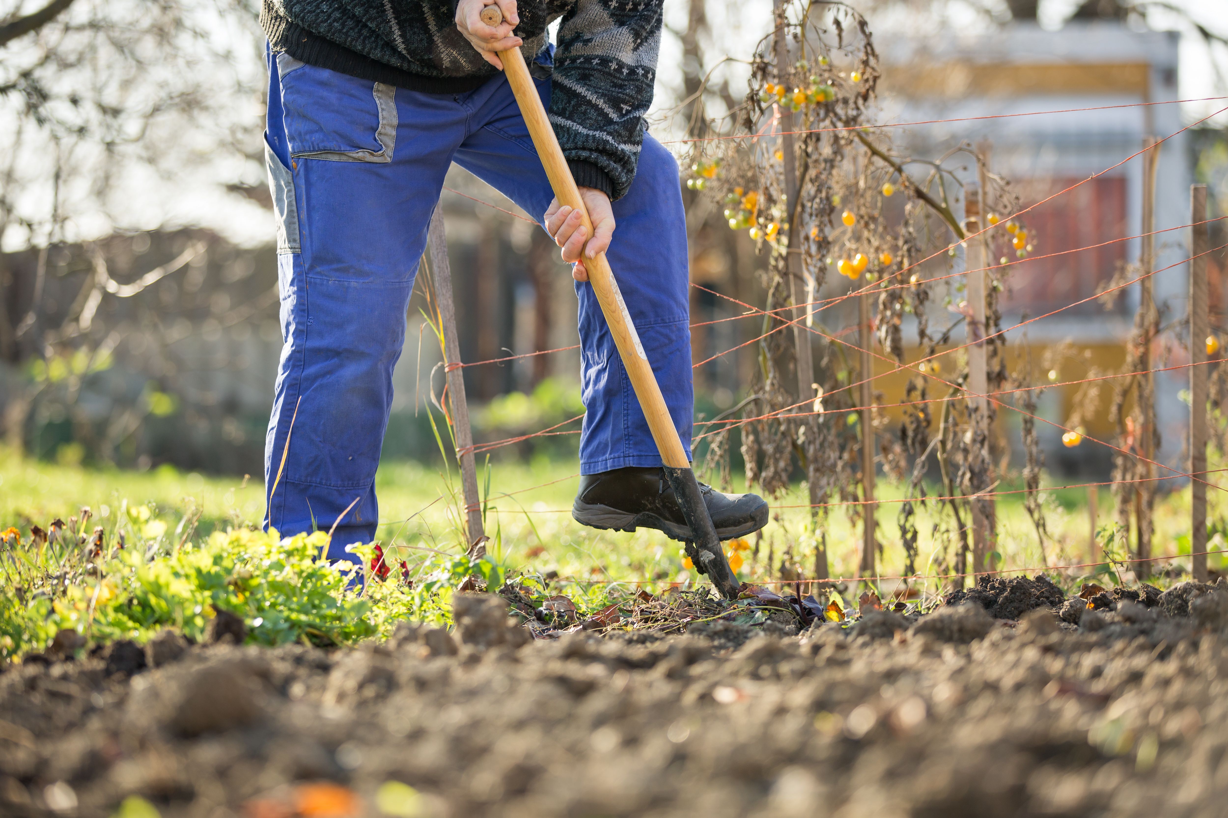 How to Wrap Up Your Gardening Season and Prepare for Winter