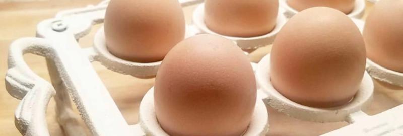 How to Store & Wash Fresh Eggs: Best Practices for Backyard Chicken Eggs ~  Homestead and Chill