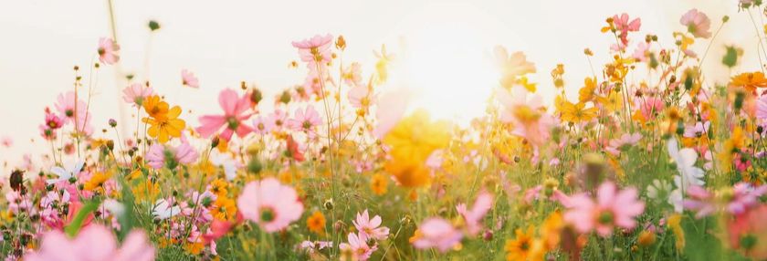 1270154ee3f9ed0ccd11334750c50f