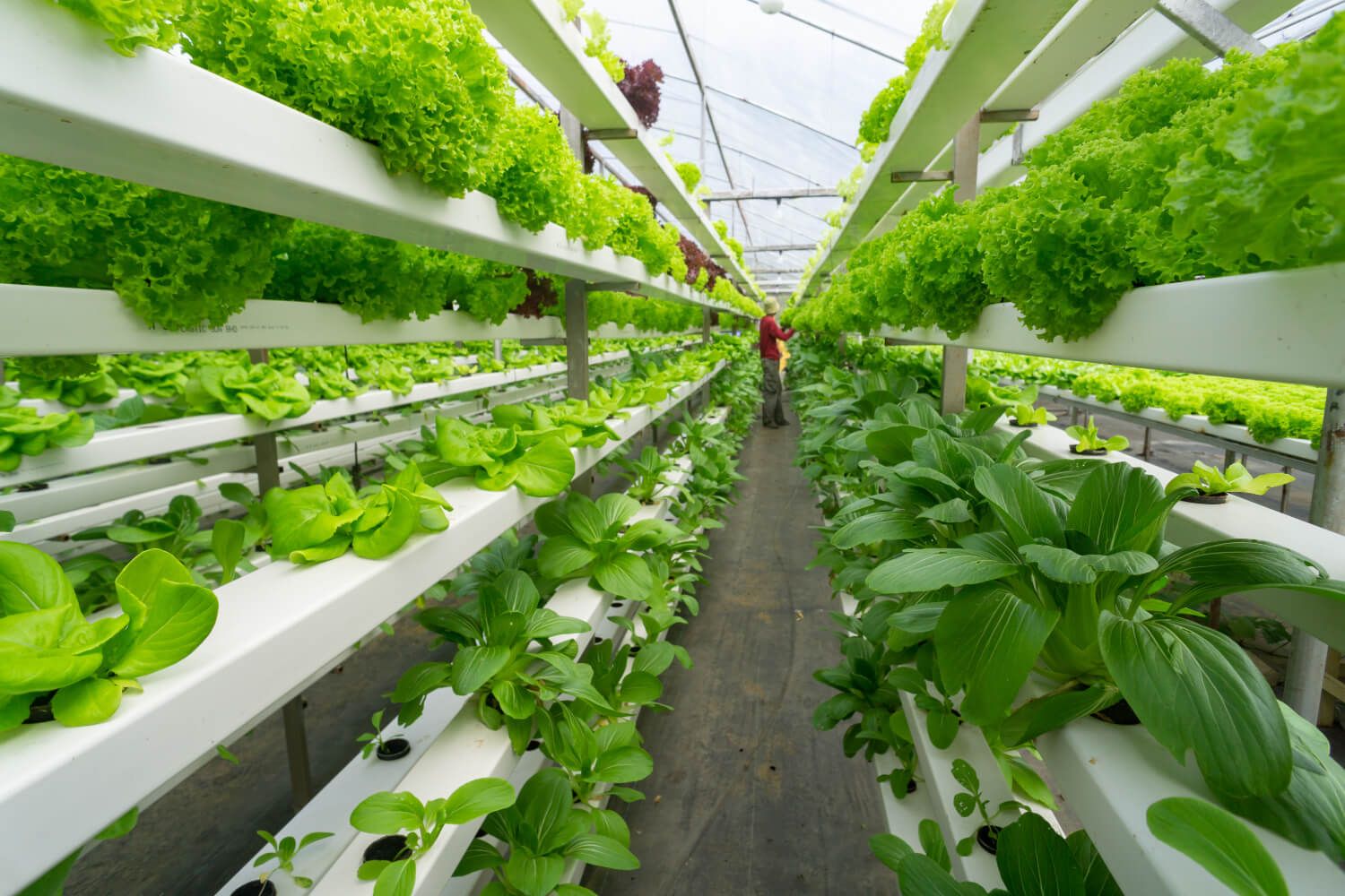 Growing Smarter Indoors