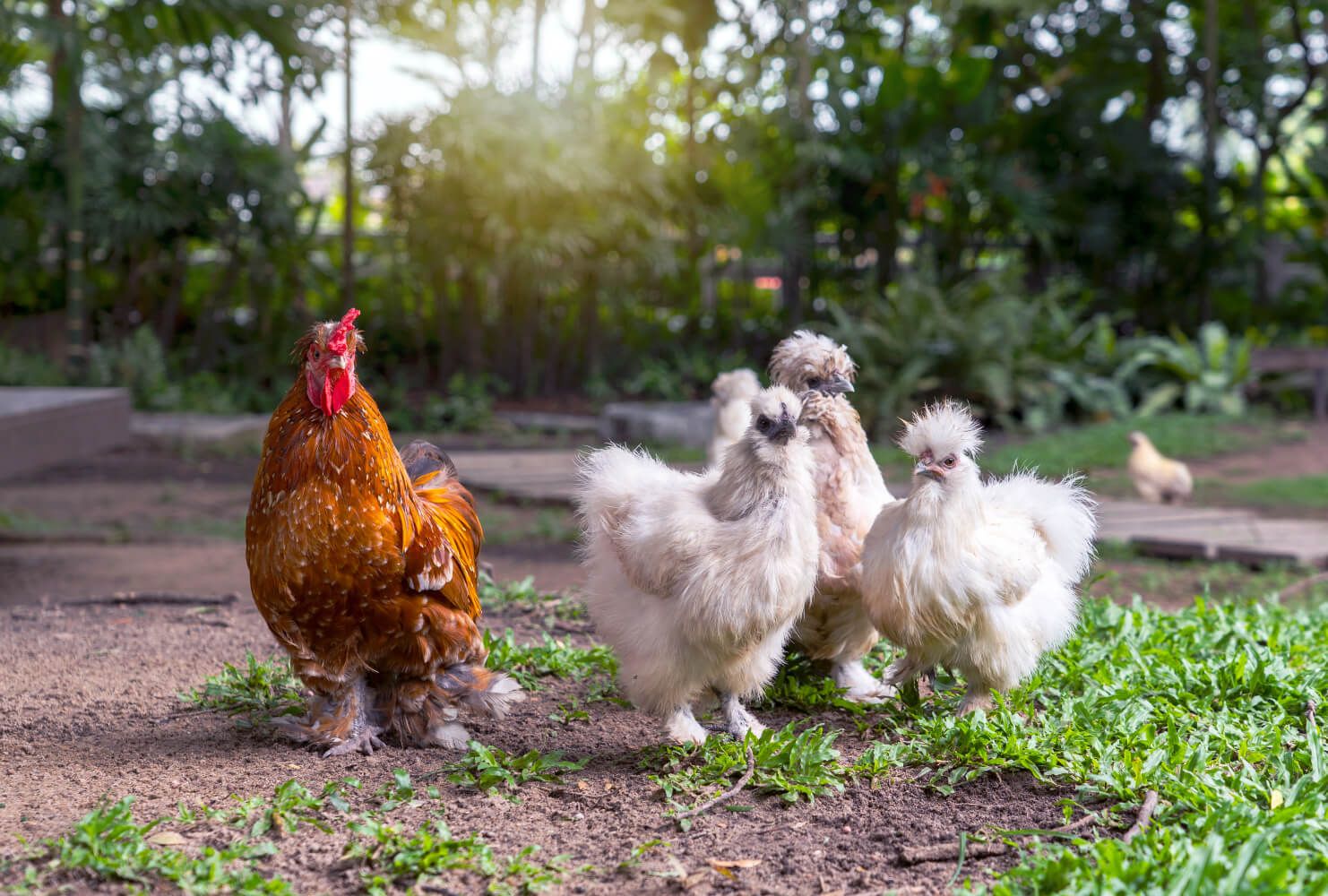The Naked Truth About Molt