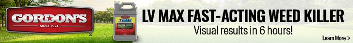 Gordon's October 1-31, 2025 728x90 LV Max 
