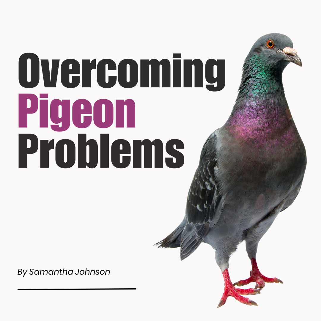 Overcoming Pigeon Problems