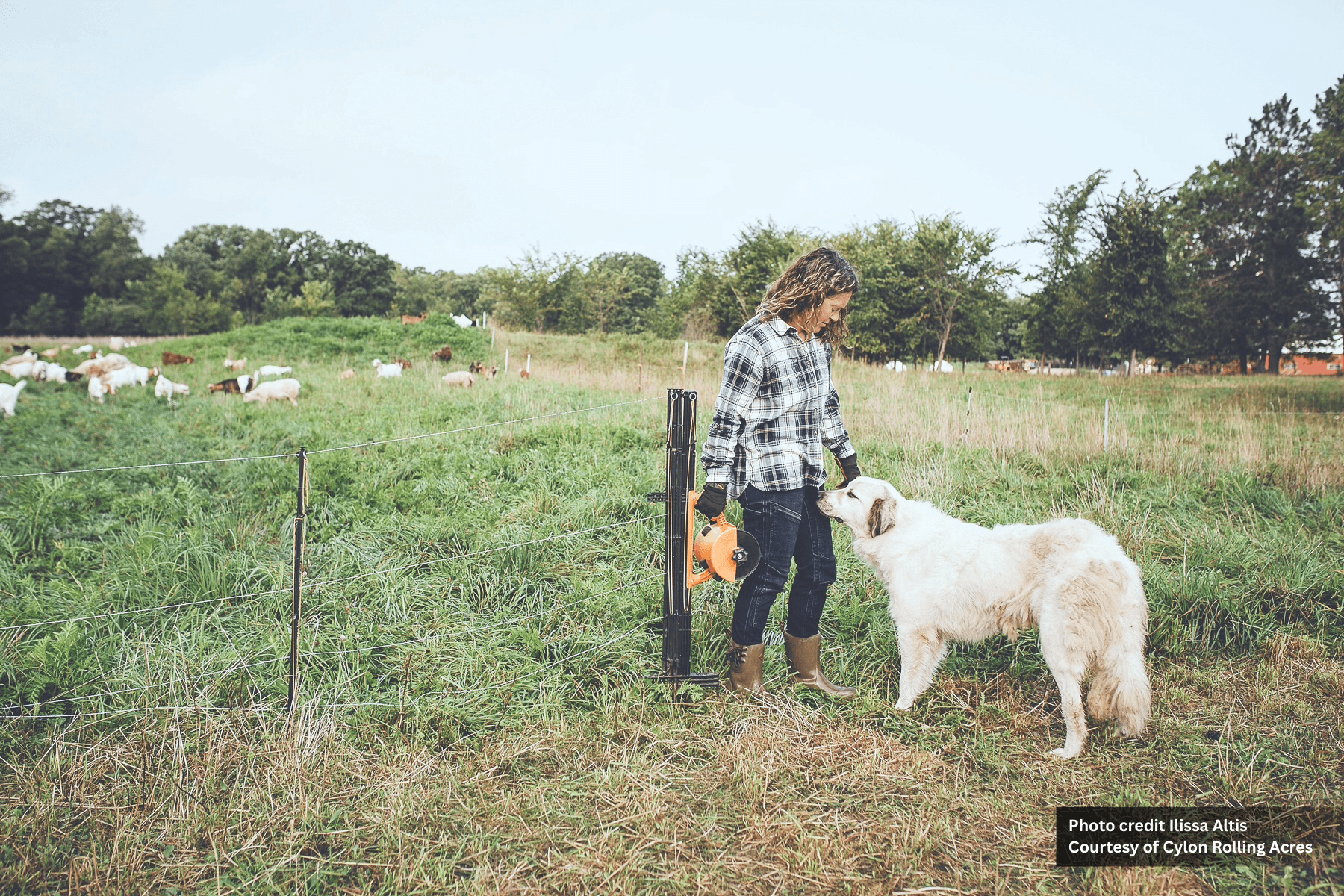 The Homegrown Hustle