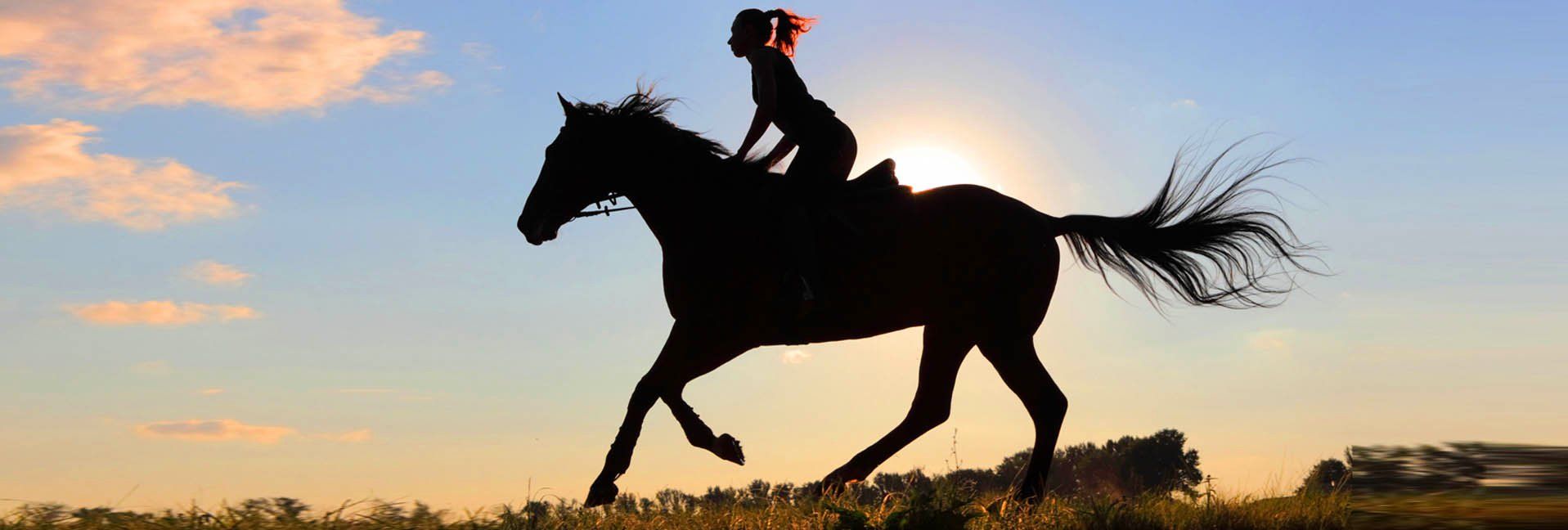 Good For Both-Three new riding activities you can try with your horse this weekend