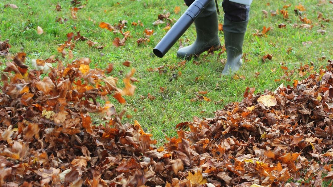 Yard Vacs & Leaf Blowers Tackle the Leaves