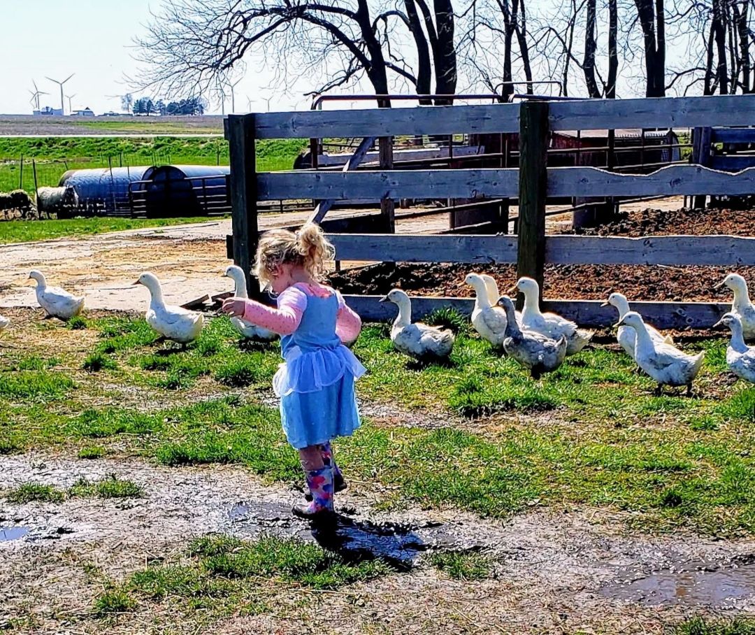 Homeschooling & Homesteading