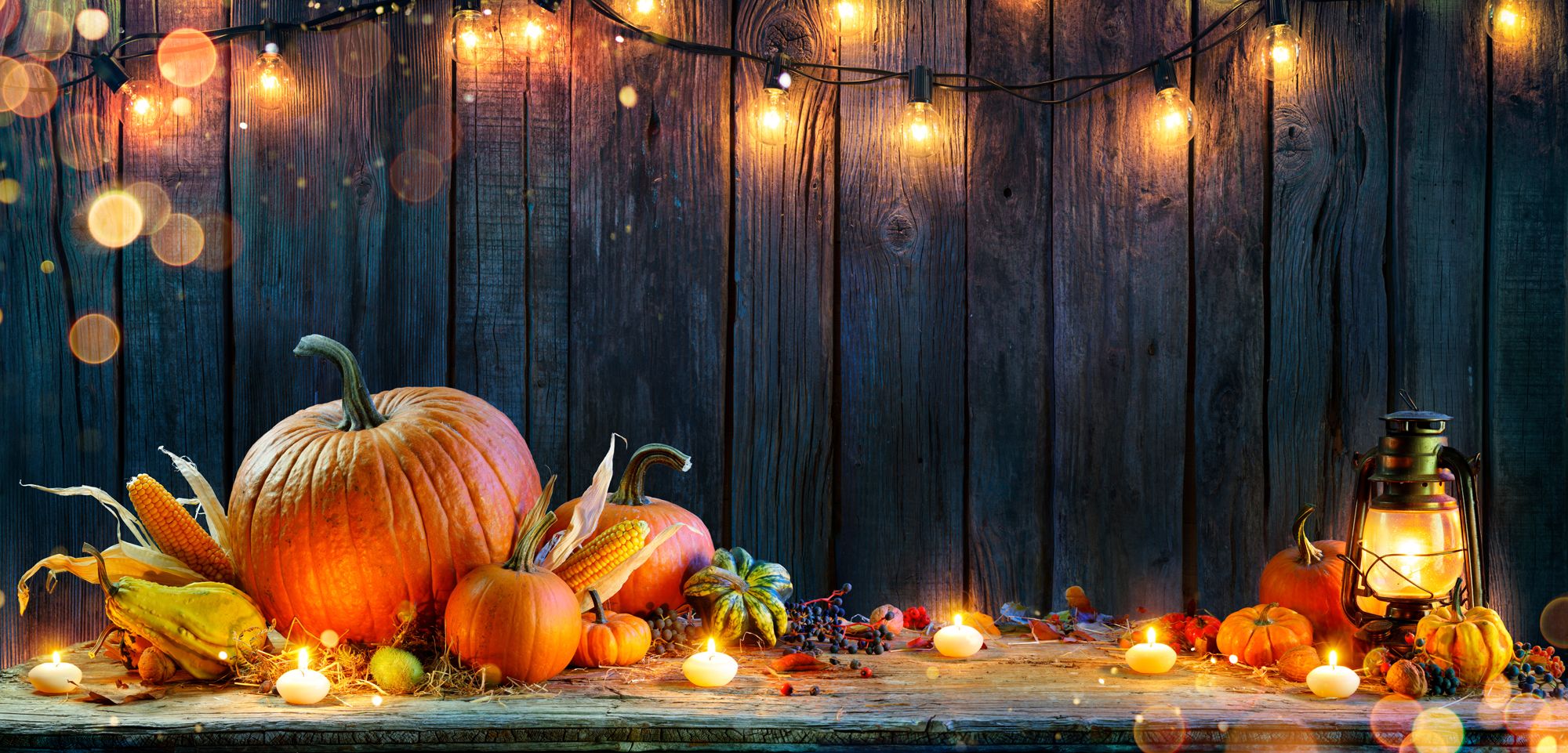What Is A Harvest Party