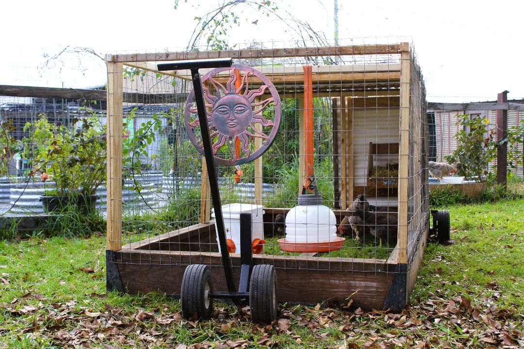 Chicken Tractors 101