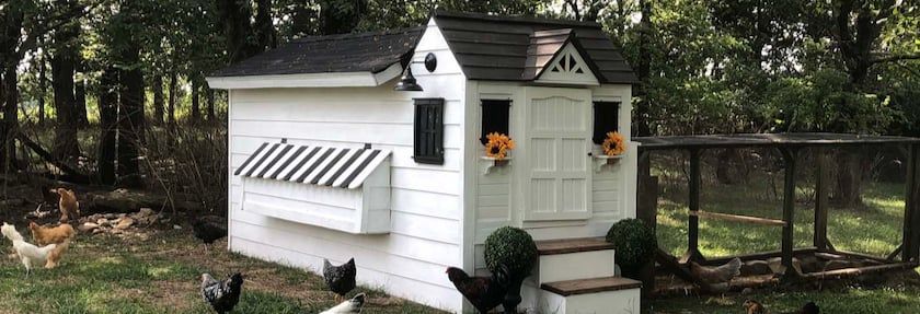 Dig These Crazy Chicken Coops!