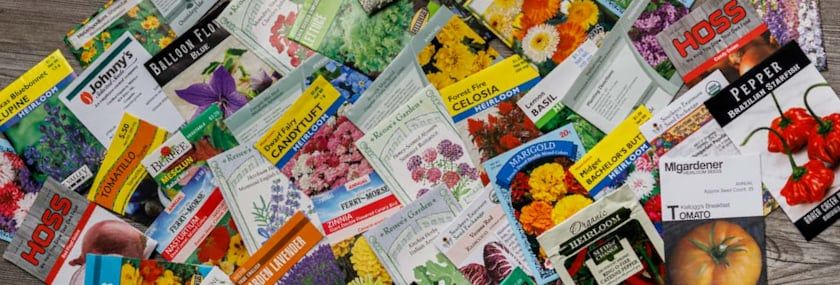 How To Read Seed Catalogs 