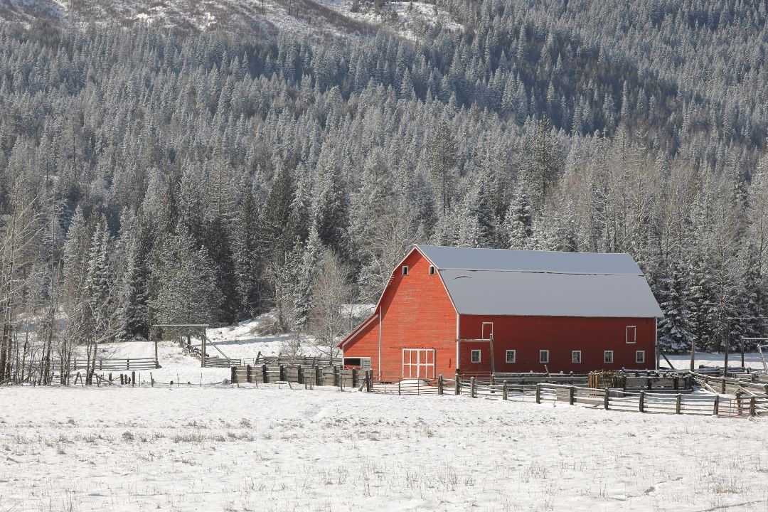 Get Ahead of Winter Weather