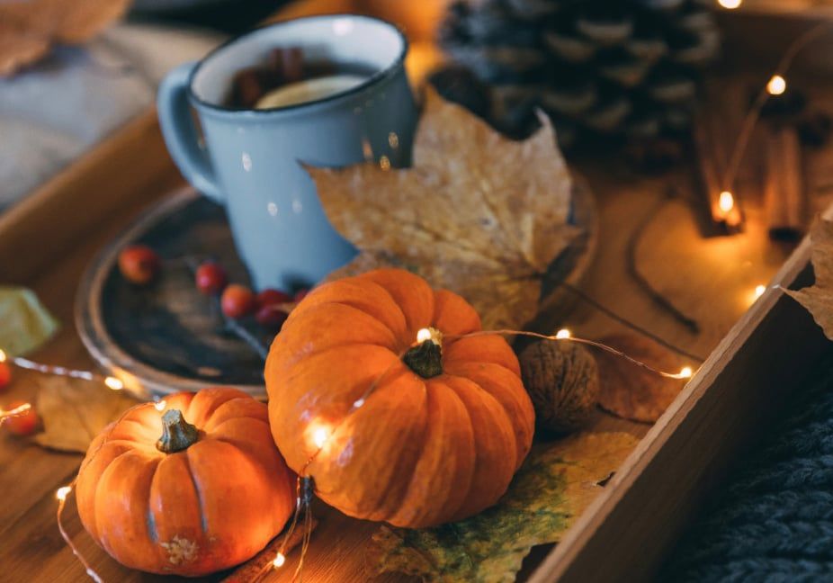 Sugar, Spice, and Everything Nice - Pumpkins aren’t just for pie anymore