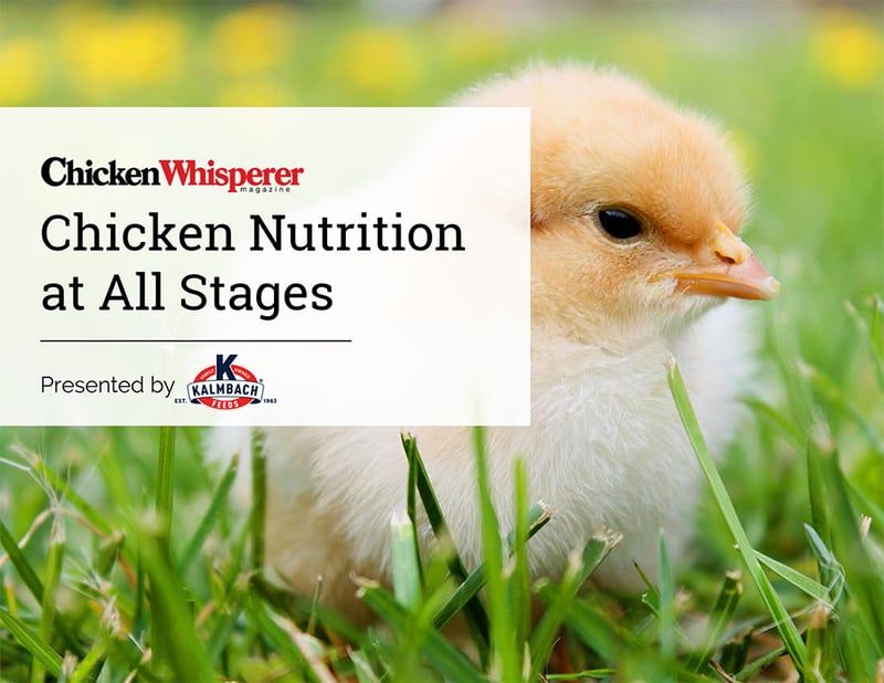 Chicken Nutrition at All Stages