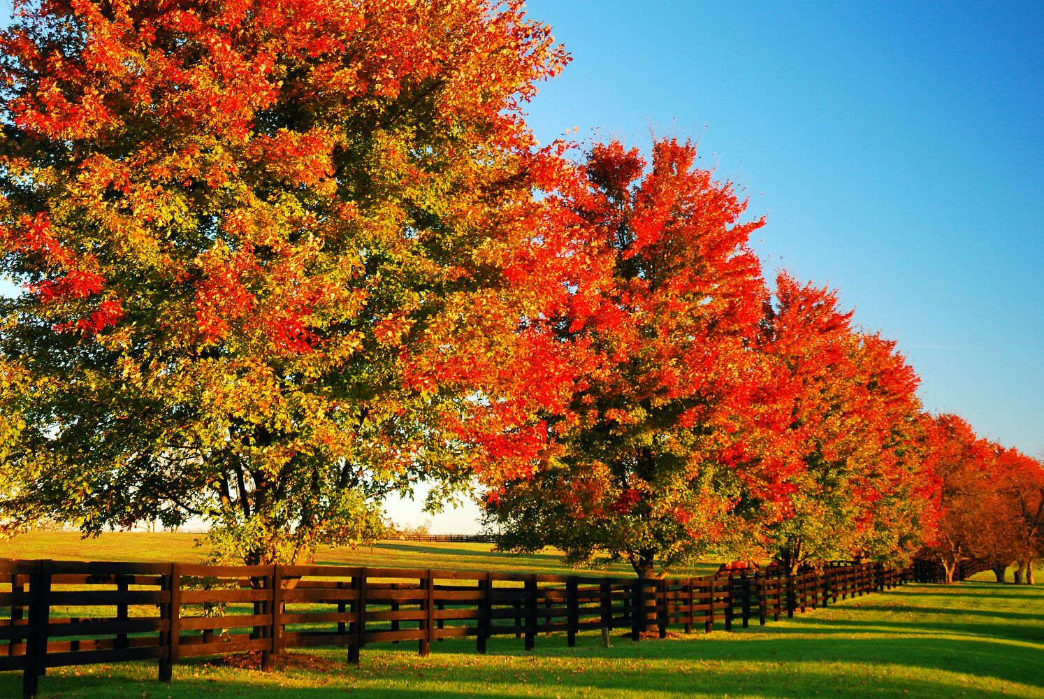 Acreage Life in the Fall