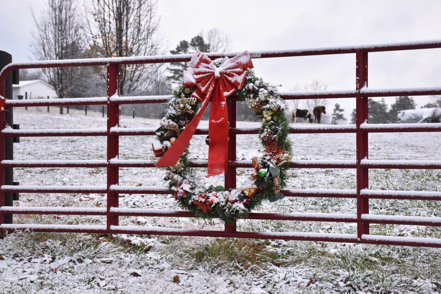 How Farms Feed Our Festive Traditions