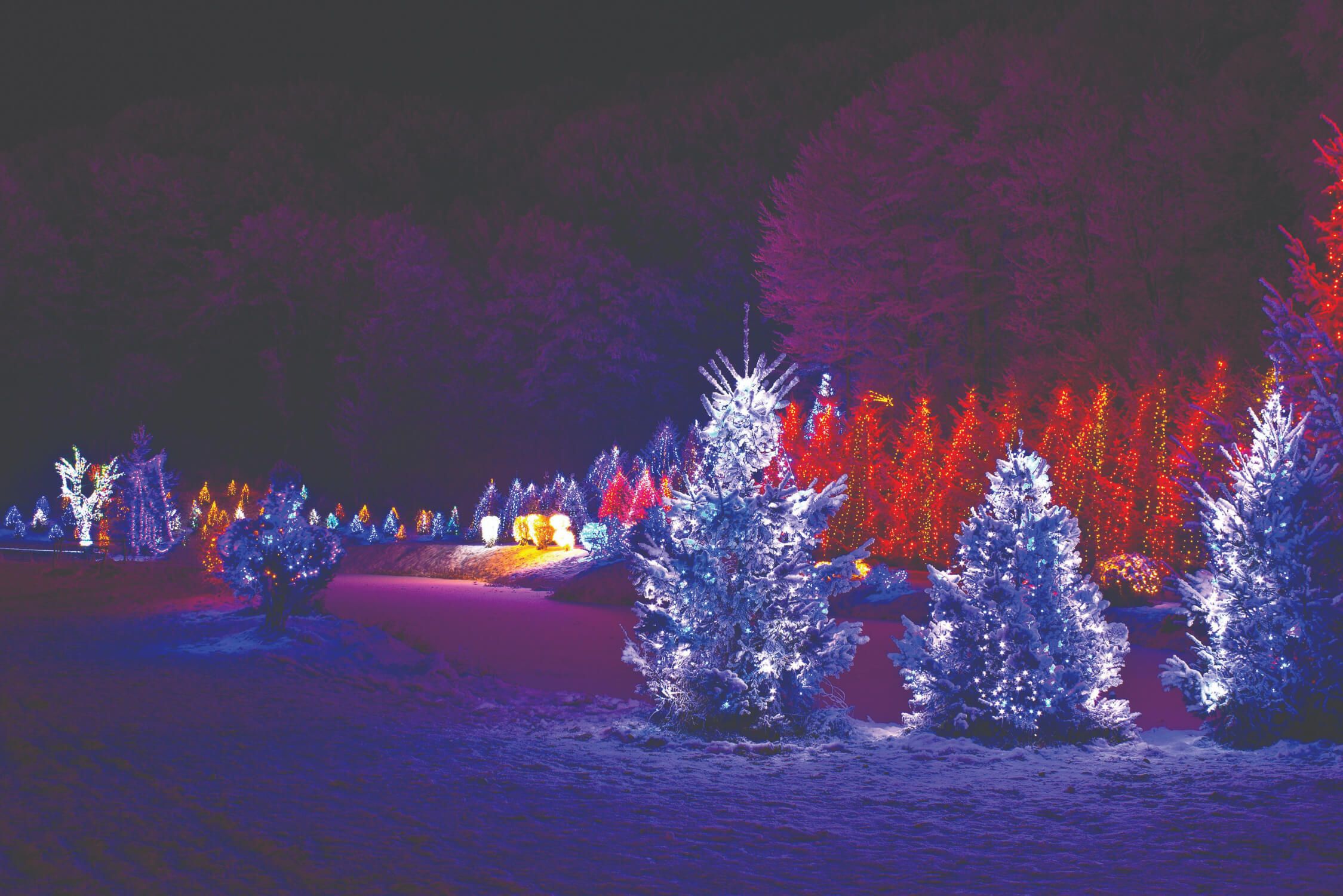 Holiday Lighting Tips for Acreages