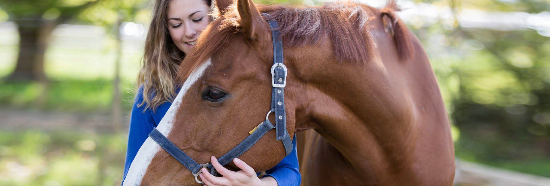 ‘Can I have a pony, puh-leeze?’ - Tips on buying your first horse