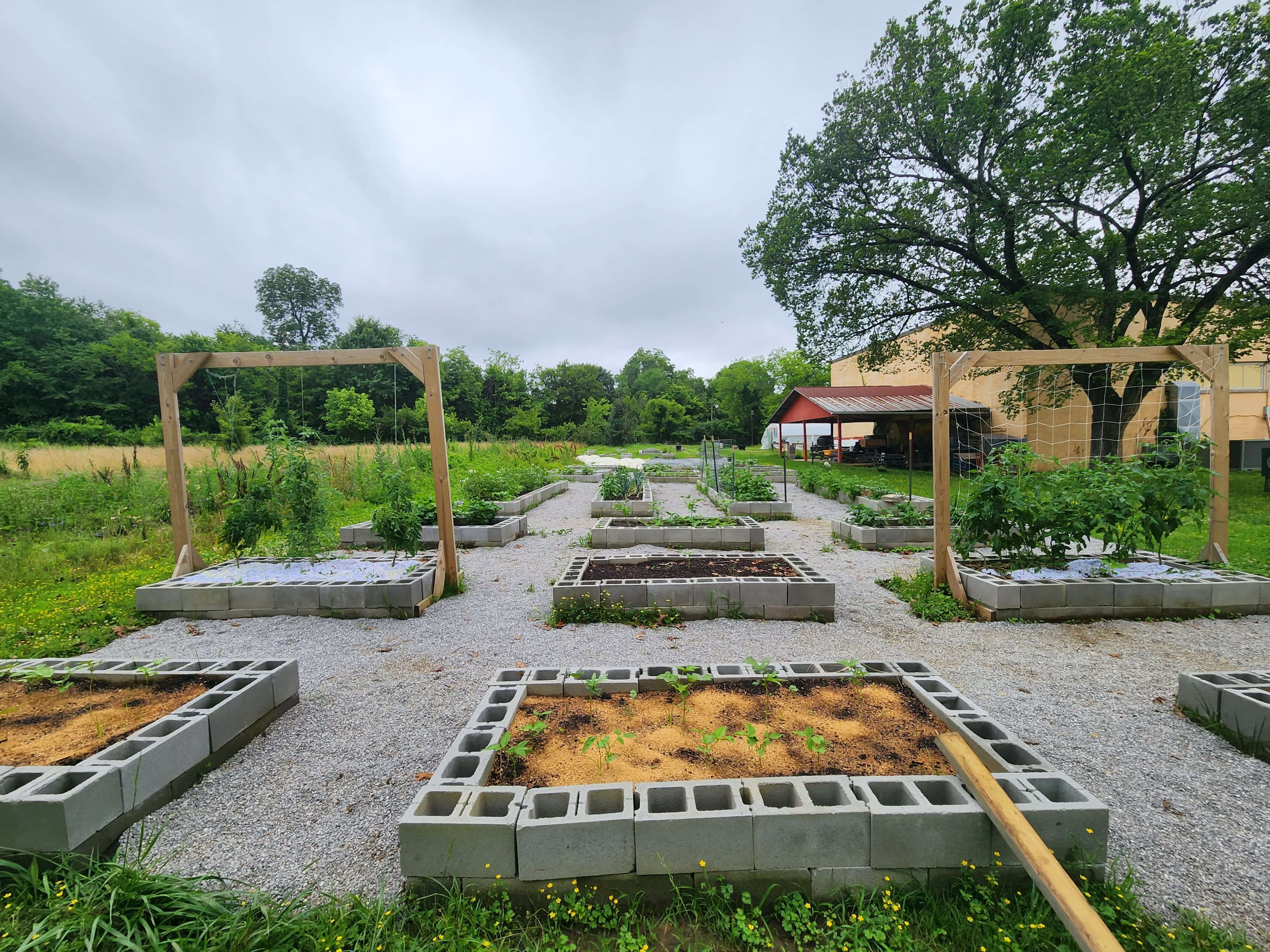 Planting Seeds of Change