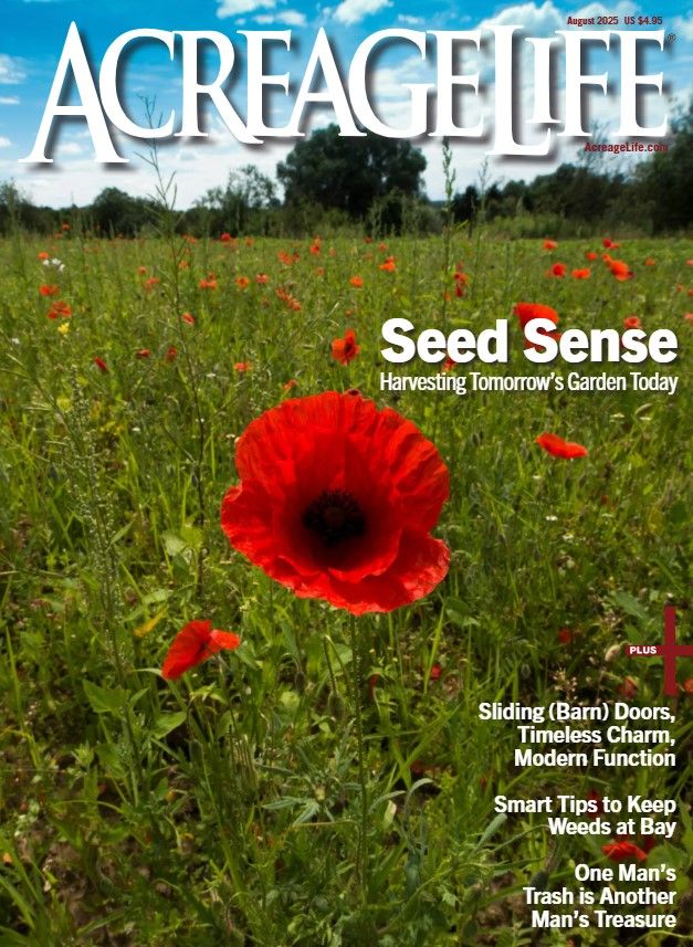 August 2025 - Sustainability