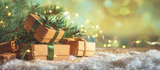 Homemade Holidays from the Homestead