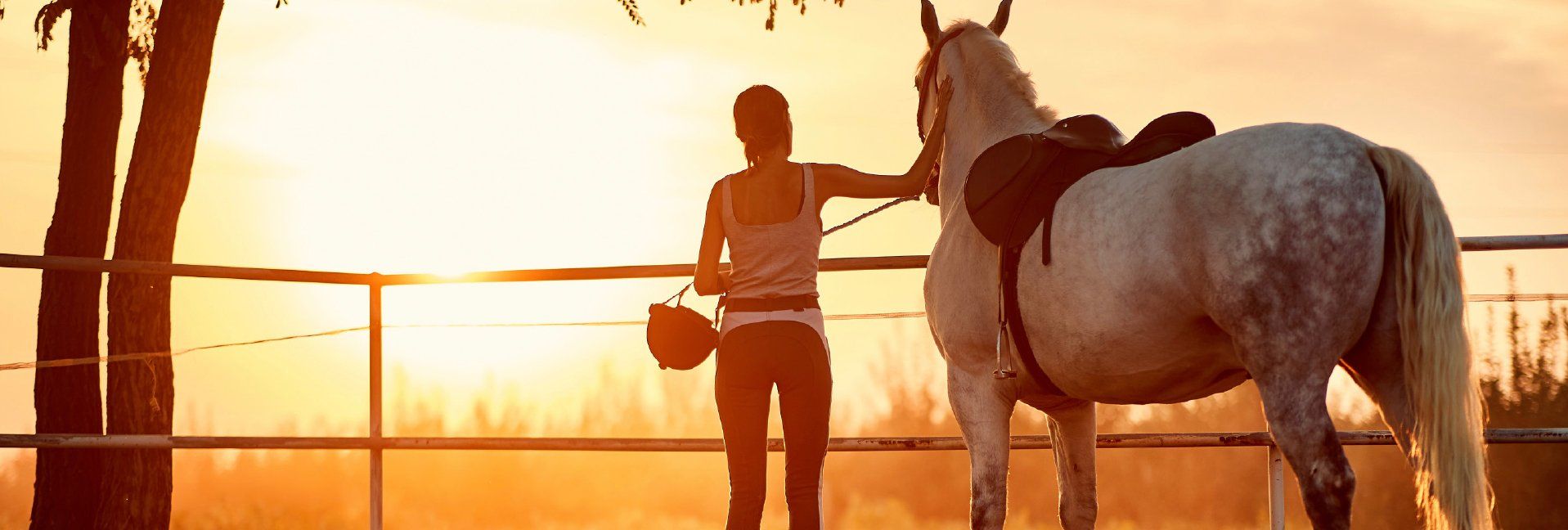 The most difficult decision horse owners ever make